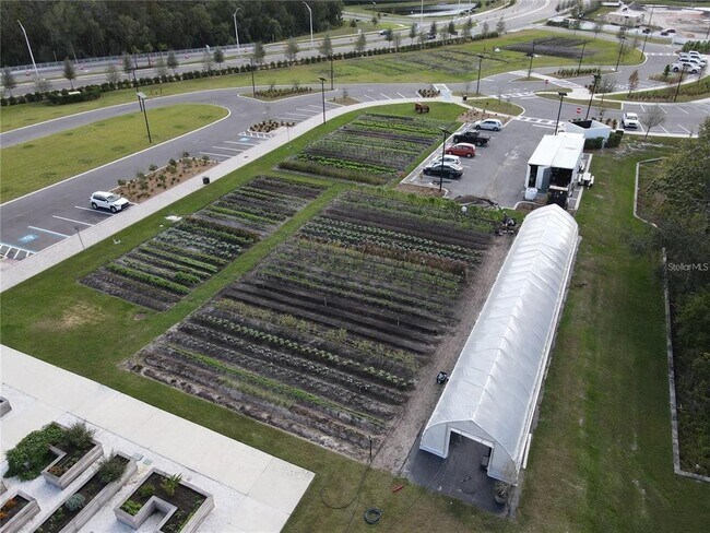 Building Photo - 11374 Velvet Apricot Dr