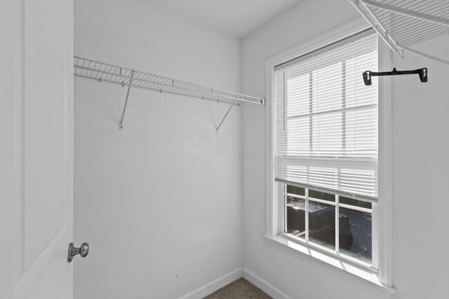 Building Photo - 1533 Pinebrook Court