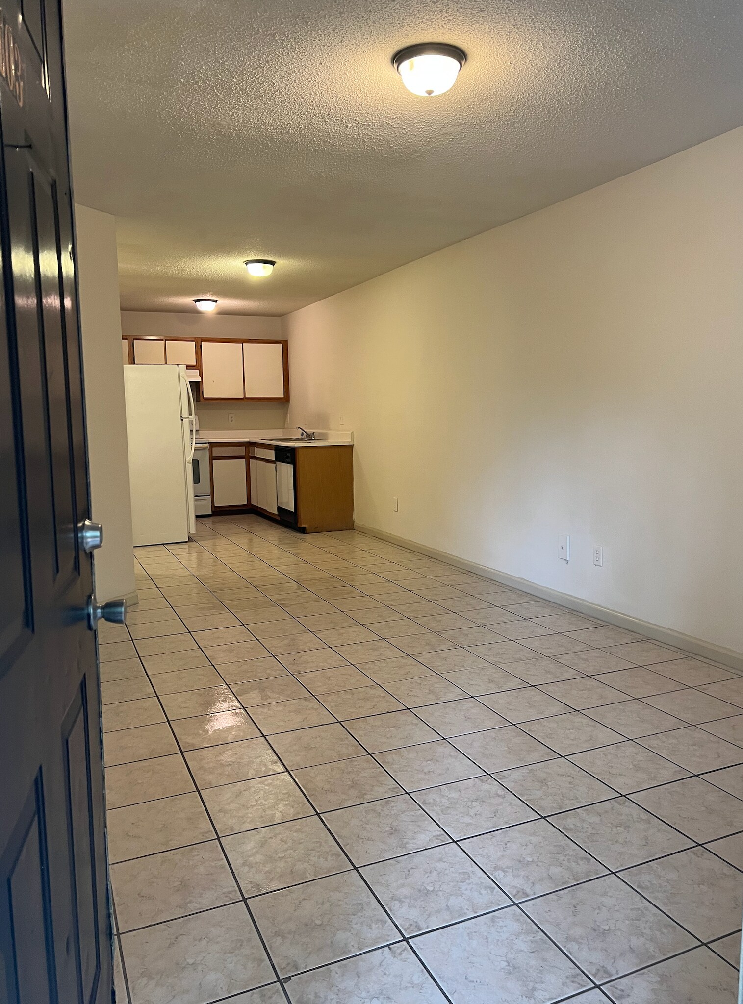 Walk in, living room, open concept kitchen - 145 Lullwater Dr