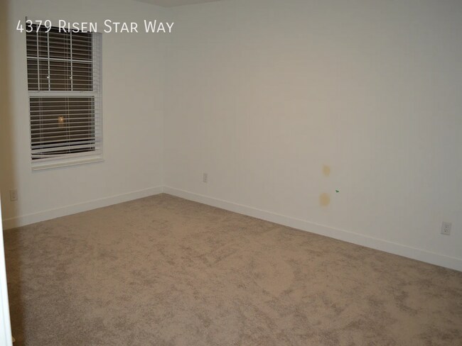 Building Photo - 4379 Risen Star Way