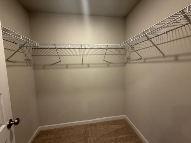 Building Photo - 3360 Lace Bark Dr