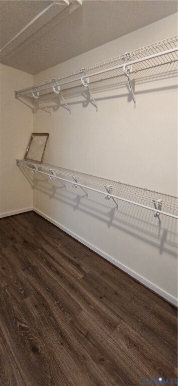 Building Photo - 5612 Benoni Ct