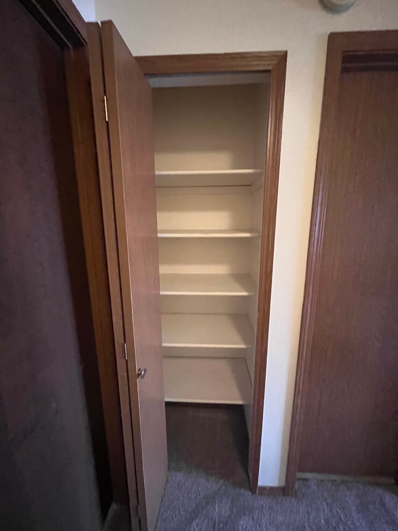 Linnen Closet - 3714 Oro Blanco Dr