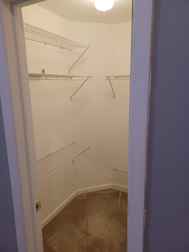 Walk in master bedroom closet - 116 E Moreland Ave