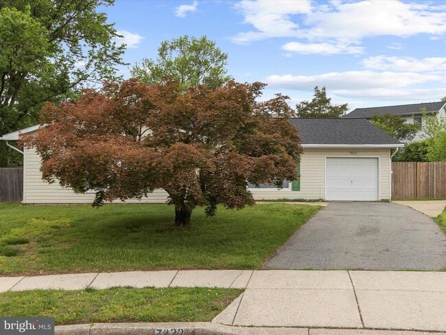 Building Photo - 7822 Citadel Ct
