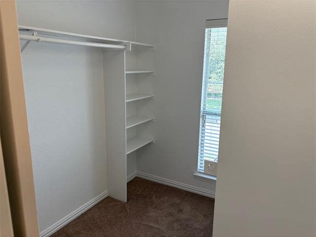 Building Photo - 1029 Delaware Dr
