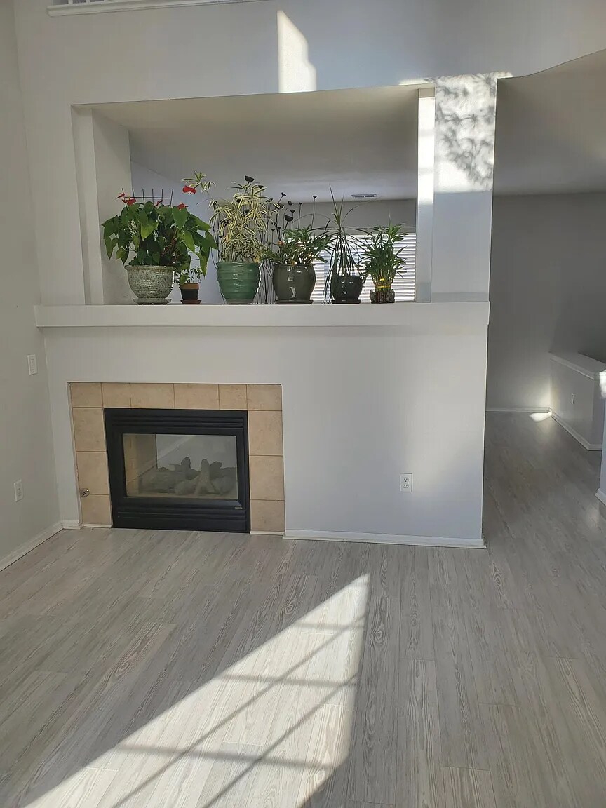 Entrance to Fireplace - 19443 E 59th Ave