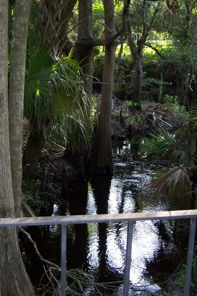 Building Photo - 26977 Spanish Gardens Dr