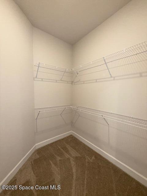 Building Photo - 1021 Tupelo Cir