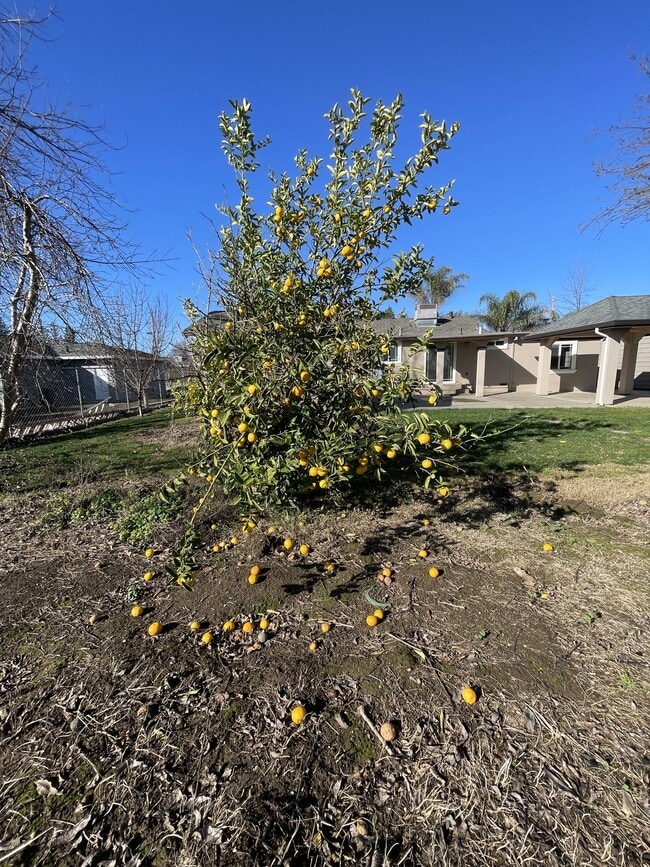 Building Photo - 8302 Bailey Rd