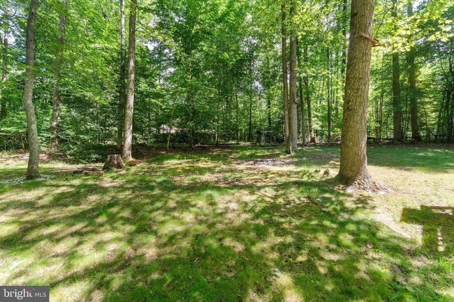 Building Photo - 12820 Lake Wilderness Ln