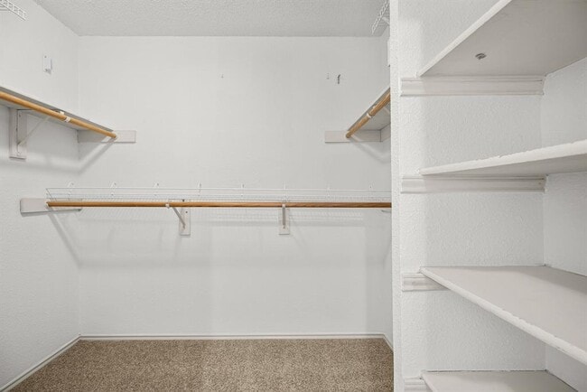 Building Photo - 13313 Black Canyon Dr
