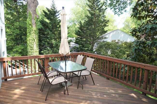 Lovely back yard - 215 Crestmoor Cir