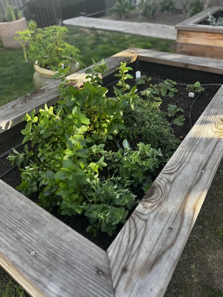 Building Photo - 311 Weston Cir