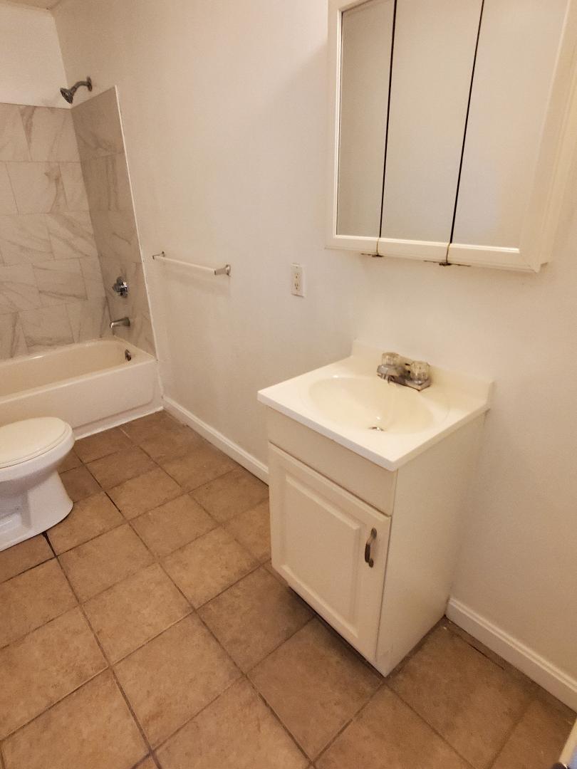 bath sink area - 314 E Main St