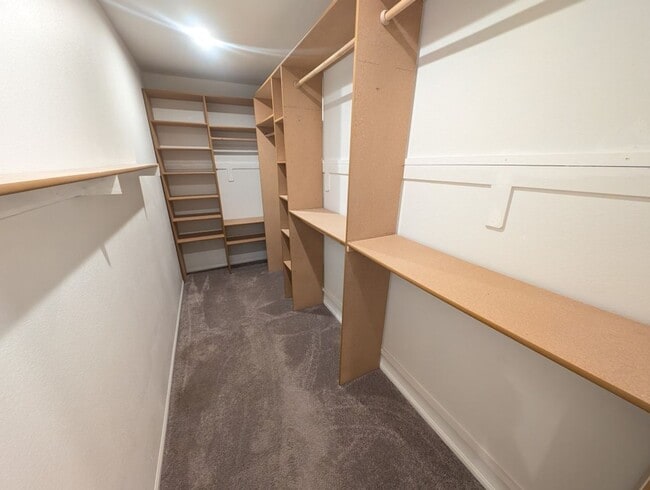 Building Photo - 4811 Shady Chestnut Ct