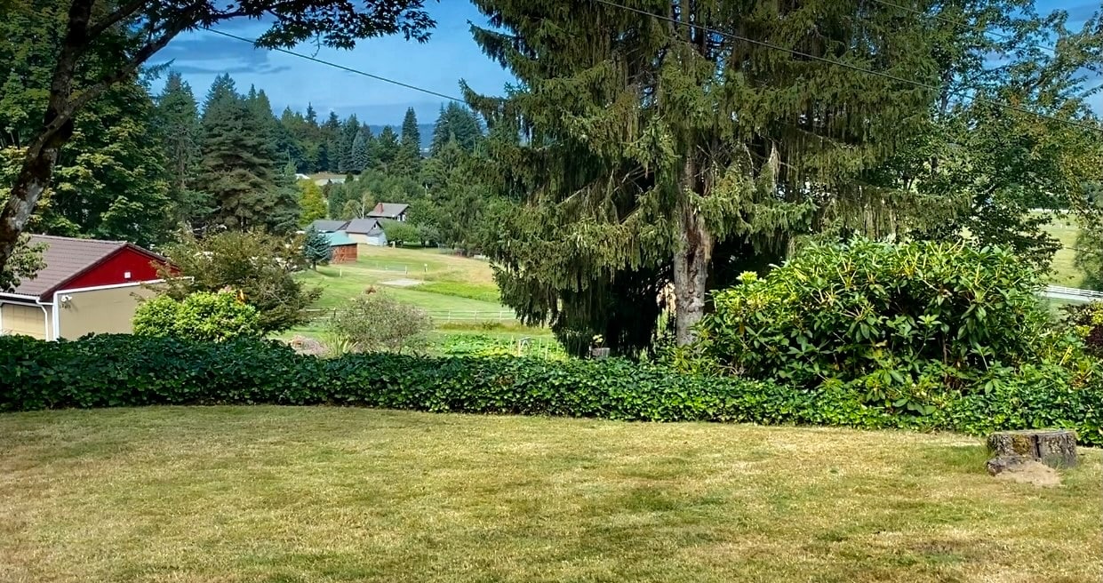 Front yard valley view - 12830 141st Pl SE