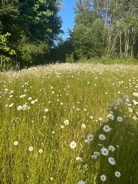 Building Photo - 15116 NE Grantham Rd