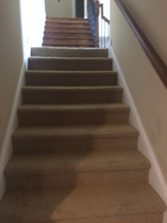 Stairs from kitchen leading to upstairs - 319 Haywood Dr