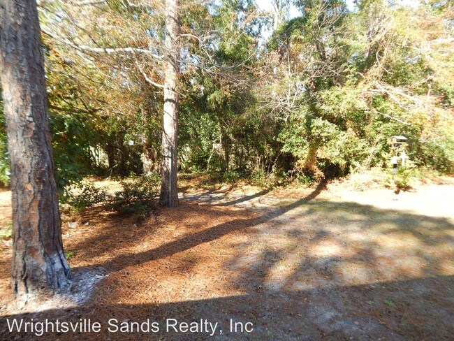 Building Photo - 2 br, 2 bath House - 1306 A Louisa Lane
