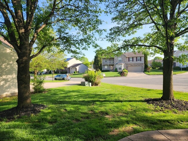 Building Photo - 1146 Deercreek Dr