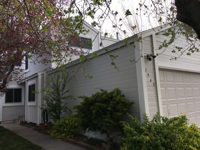 Building Photo - 7565 Lighthouse Ln