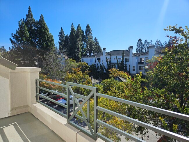 Building Photo - 440 Navaro Pl