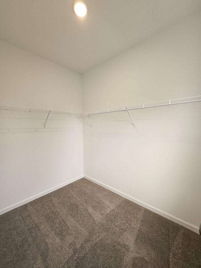 Building Photo - 128 Rosebush Ln