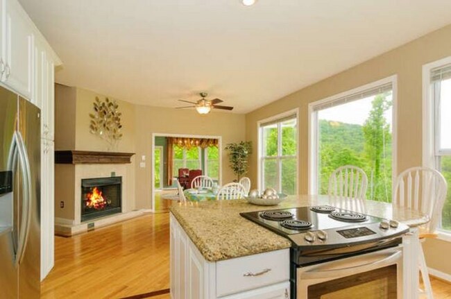 Building Photo - East AVL - Mountain Views and Space Galore!