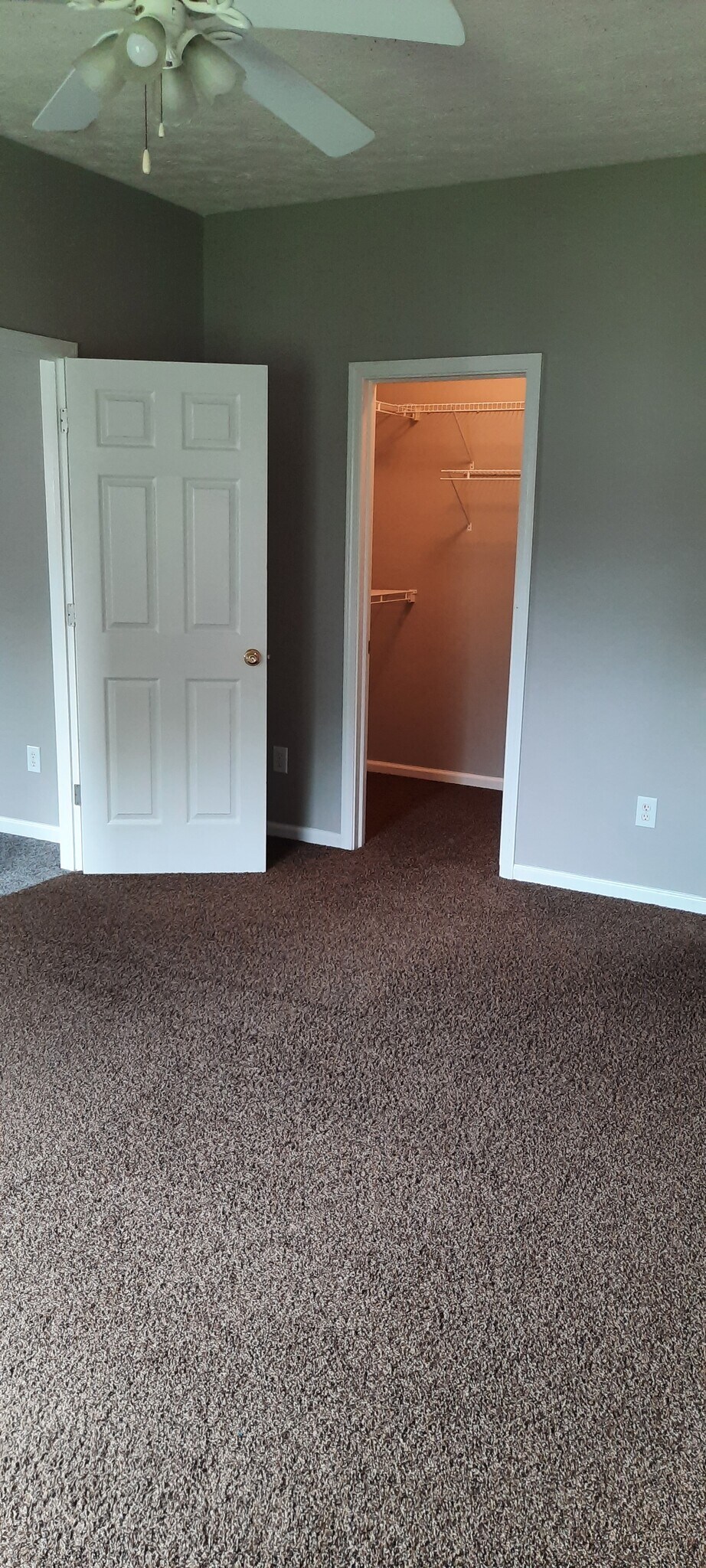 Building Photo - 3181 Stratus Ct