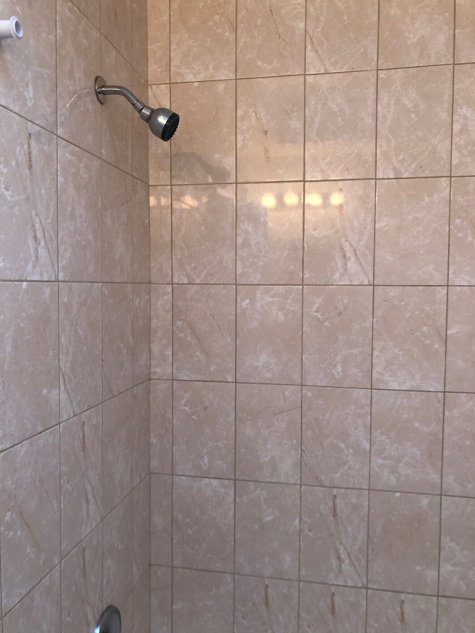 Building Photo - 203 Alnus St