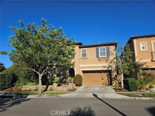 Primary Photo - 11 Peony