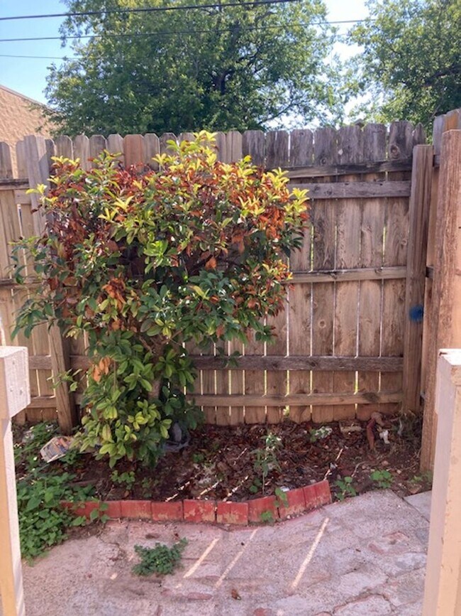 Building Photo - Cute 1 bed/1 bath