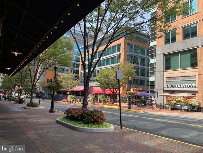 Building Photo - 1701 Lake Shore Crest Dr