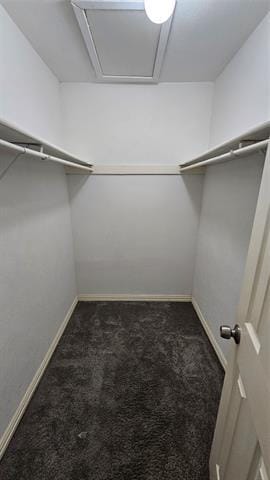 Building Photo - 5506 Willow Cir