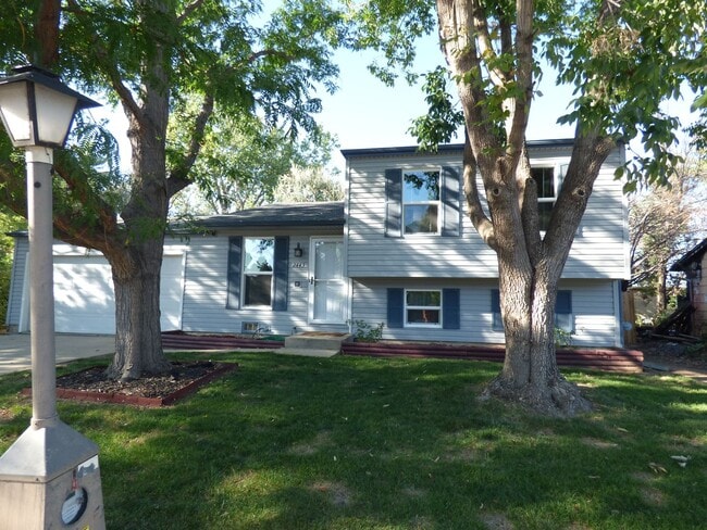 Primary Photo - Tri-Level Home in North Longmont