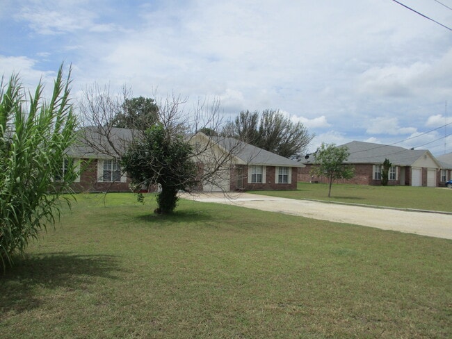 Building Photo - 163 Armadillo Ln