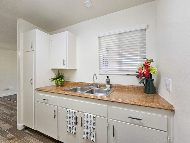 Interior Photo - Shady Terrace