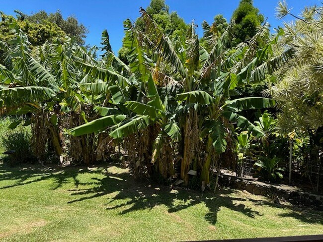 Building Photo - 470 W Kuiaha Rd