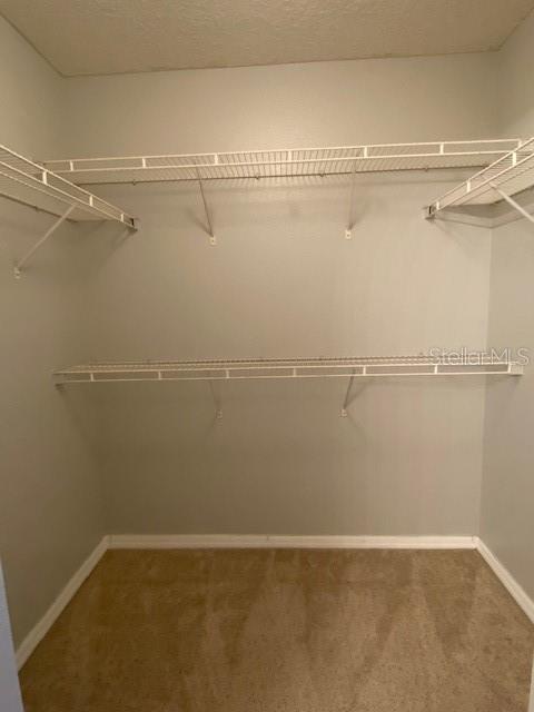 Building Photo - 10524 Laxton St