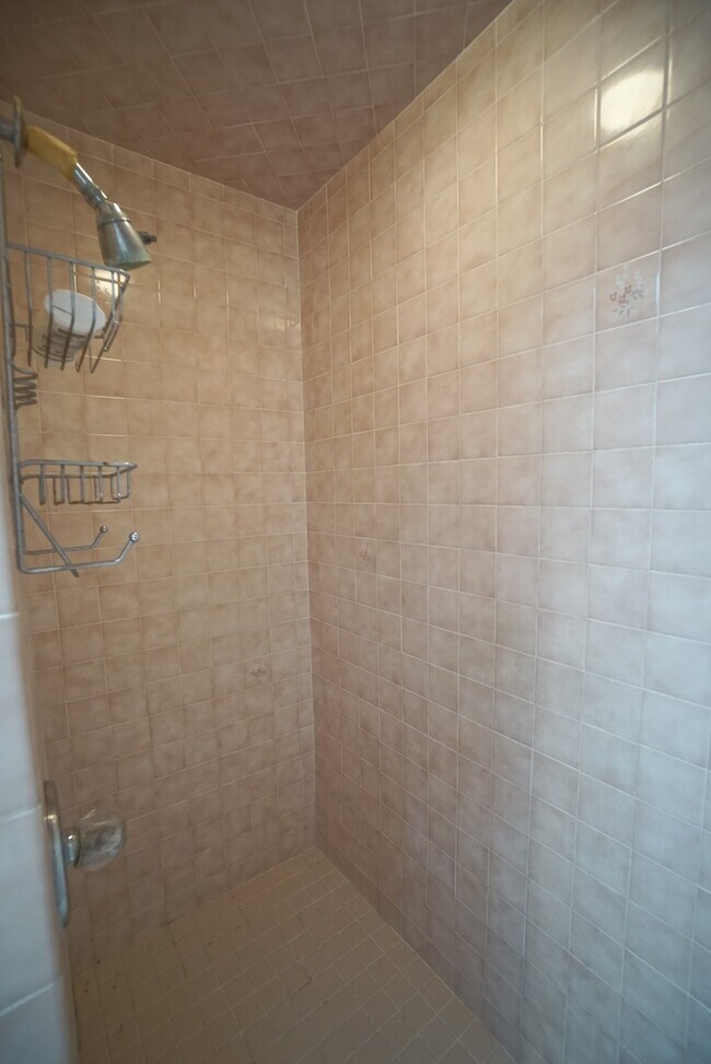 Building Photo - Charming 3/2 home in South Tampa