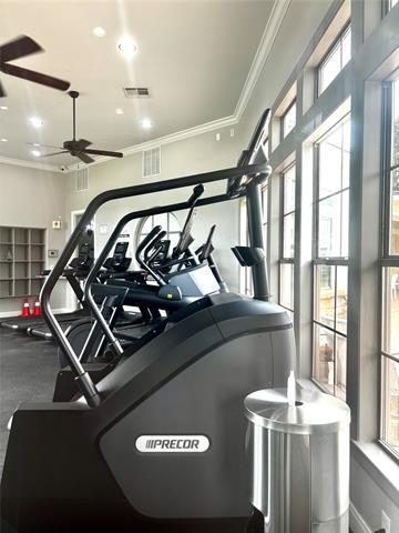 Building Photo - 1313 Catbird Dr