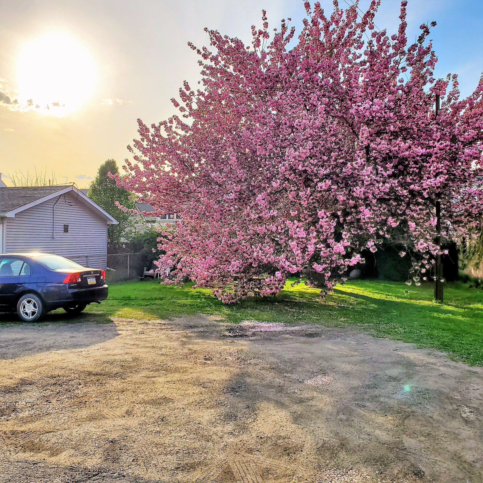 Rear Yard - 529 S Main St