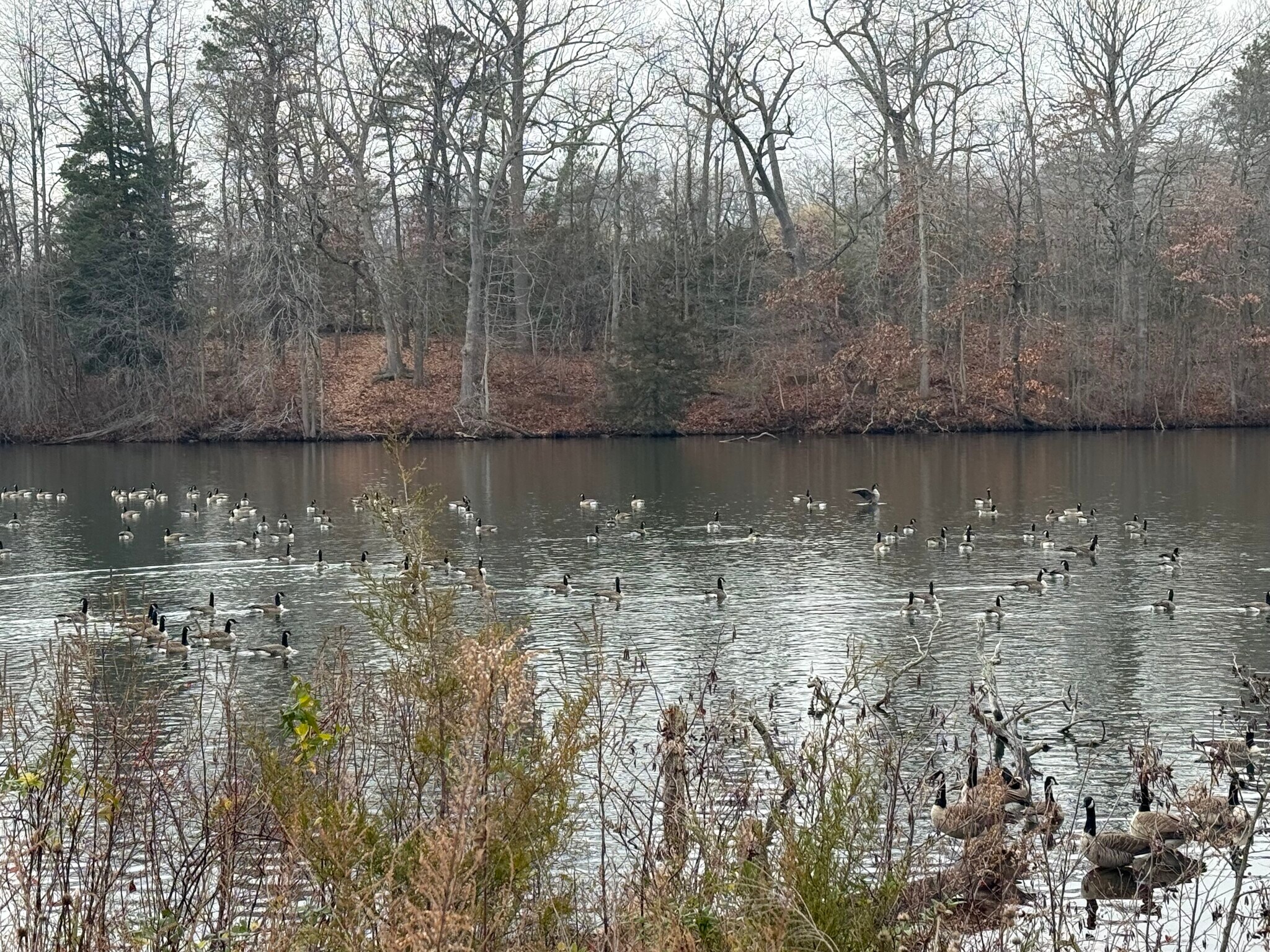 Building Photo - 448 Lake Ave