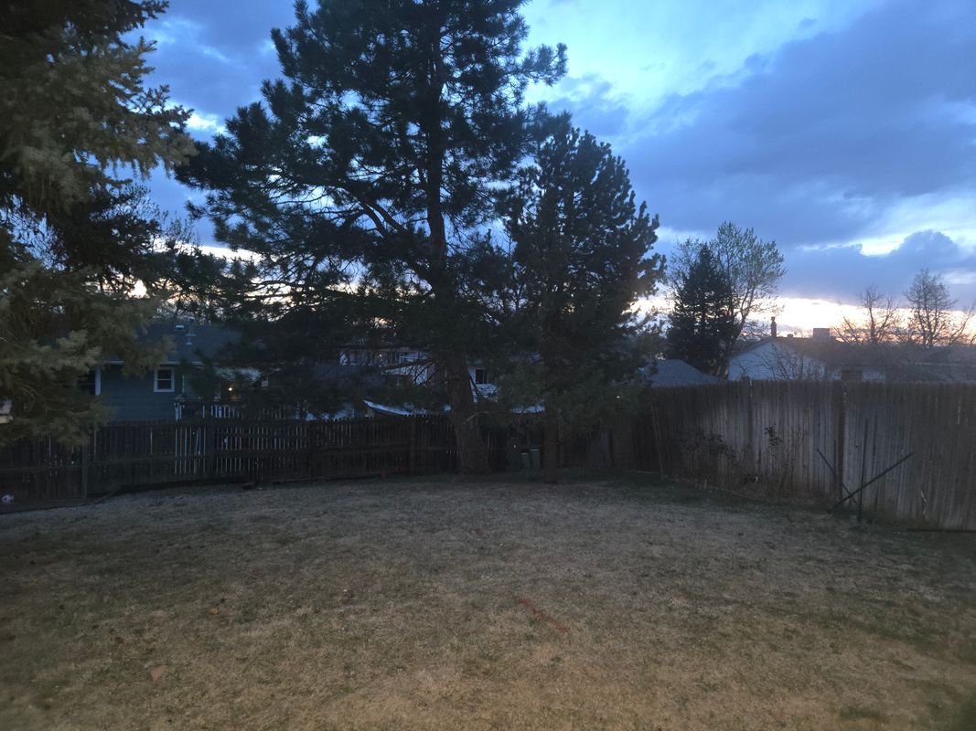 Building Photo - 1899 S Mobile St