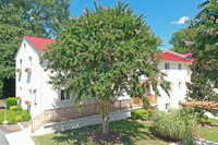 Building Photo - The Wilson Apartments