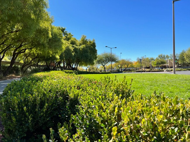 Building Photo - 1 Story in Summerlin - Brand New Carpet, P...