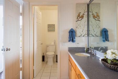 Master Bedroom attached bathroom. - 999 Kaahue St