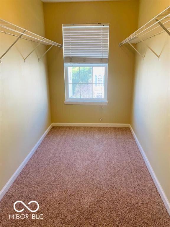 Building Photo - 9435 Tanhurst Dr