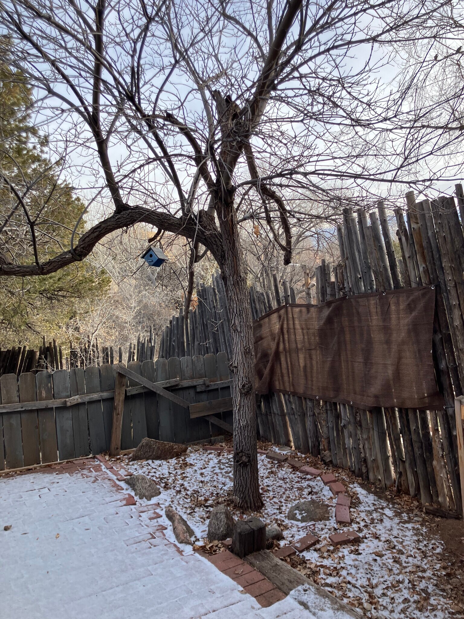 Building Photo - 3228 1/2 La Avenida de San Marcos